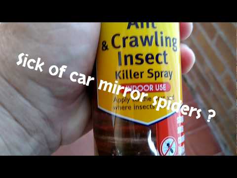YouTube video about: How to get rid of spiders in car mirror?