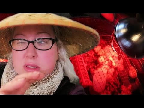 THINGS ARE GETTING INTERESTING 🧐