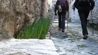 preview picture of video 'Ruta circular de Mont-ral a Farena.10.02.13'