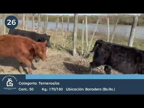 Lote M Y H - Baradero  Bs As