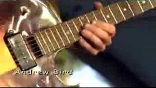 Andrew Bird @ Coachella - Skin Is, My