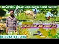 கோழி வித்து மீன் பண்ணை உருவாக்கி மீன�