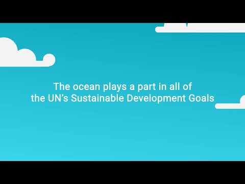 How Ocean Conservancy Works to Achieve the UN Sustainable Development Goals