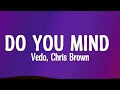 Vedo - Do You Mind (Lyrics) ft. Chris Brown (Lyrics)