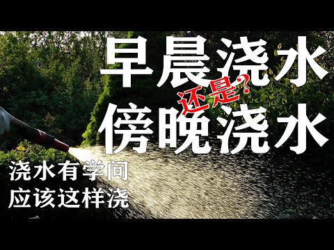 水時水地