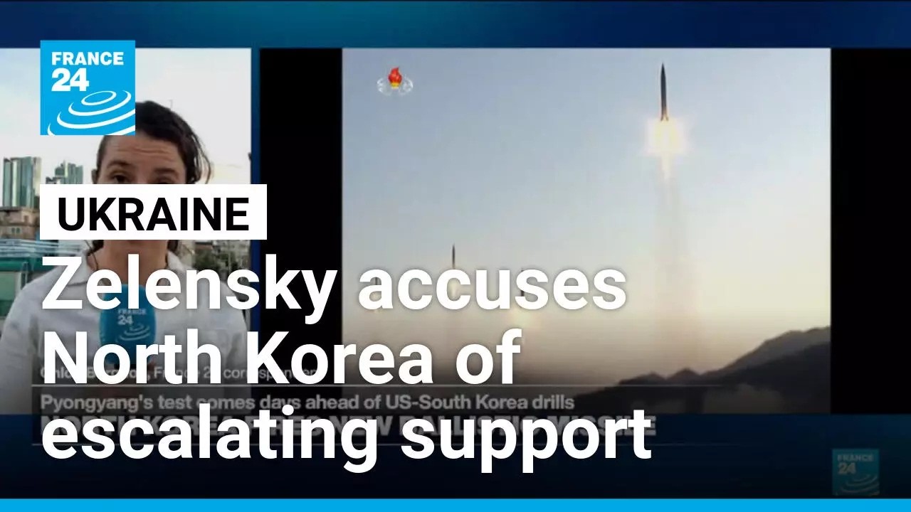 Ukraine seeks closer cooperation with South Korea • FRANCE 24 English
