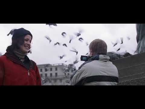 The Core : Birds go crazy in London