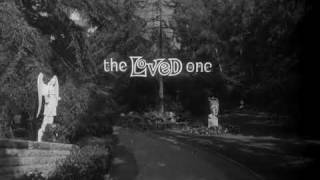 The Loved One (1965) Video