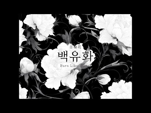 안예은 & 우예린 - 백유화 (Burn Like A Star) COVER with 몽드