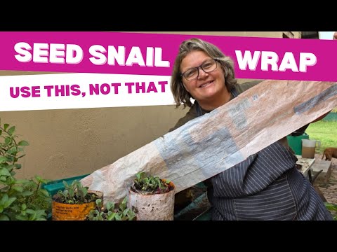 Seed Snails: Best & Worst Control Methods Explained
