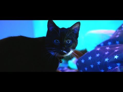 Kamil Kempiński - W mojej mgle