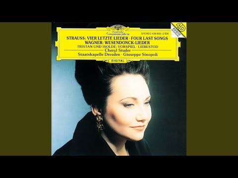 download lagu mp3 mp4 Anne Wesendonk, download lagu Anne Wesendonk gratis, unduh video klip Anne Wesendonk