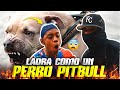 INCREIBLE EL PERRO HUMANO MUESTRA COMO DESARROLLO LA HABILIDAD DE LADRAR COMO UN PITBULL
