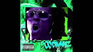 Lil Wayne -Fo Sheezy 500 Degreez
