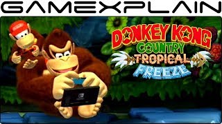 3 Joy-Con Idle Animations in DKC: Tropical Freeze on Nintendo Switch! (Diddy, Dixie, & Cranky)