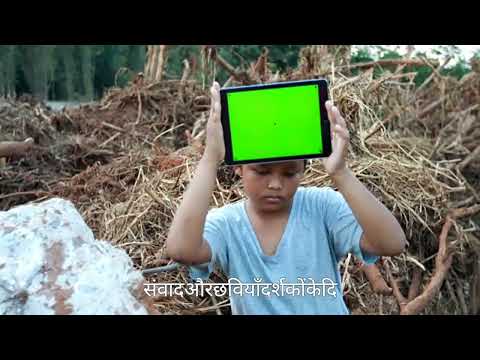 Pushpa 2 Trailer - The Most Disappointing Sequel Since The Matrix