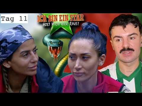 Ihr EGO VERKAFTET DIESE SCHLANGE NICHT! 🤮🤮🤮 | Tag 11, Dschungelcamp 2026