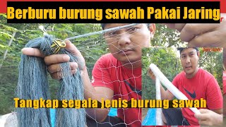 Download lagu Jaring khusus burung sawah ll Berburu burung sawah mp3