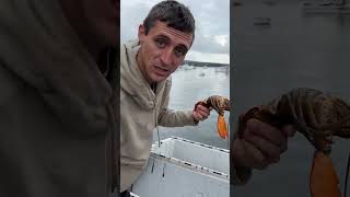 Sleeping sally pt. 2