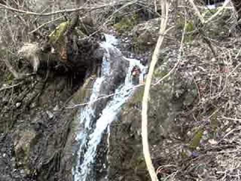 Ujevara ne Terrnav - Dani&R