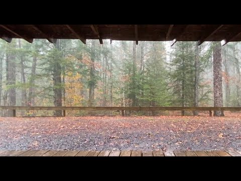8 Hours Rain Sounds on a Cabin Porch in the Forest🌧️|Relaxing Rain Ambience for Sleep, Study & Focus