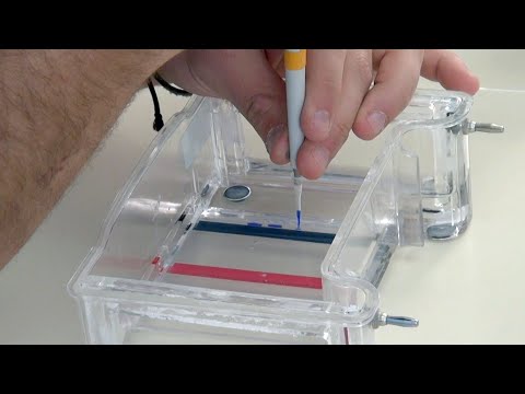 Lambda Phage DNA Isolation Teaching Kit