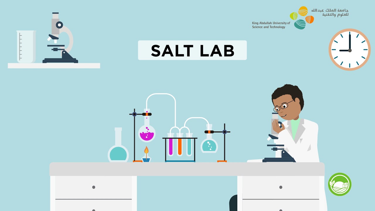 Red Sea Farms: Feeding the world sustainably