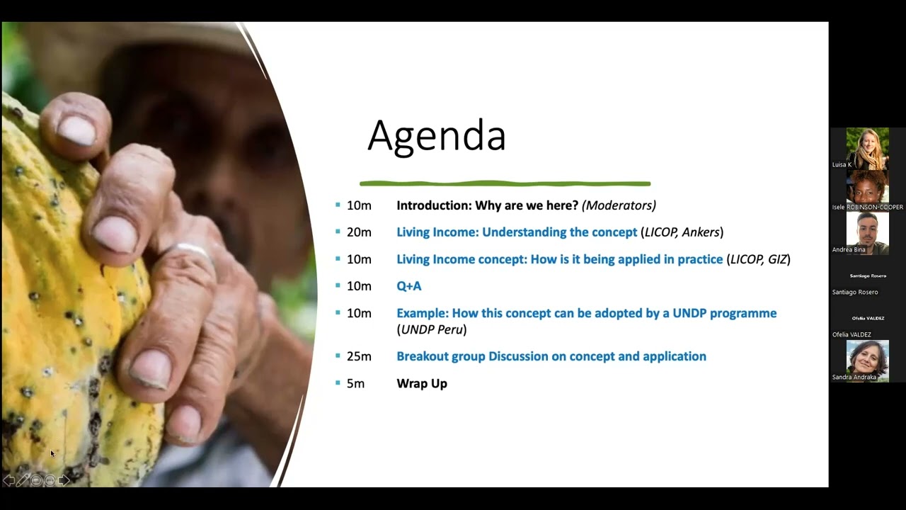 Living Income - Concept Webinar