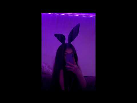 kvbvs x rabit x nomy - poranione serca