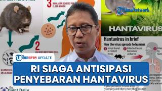 RI Waspada Penyebaran Hantavirus, Menkes Budi Gunadi Sebut Pemerintah Koordinasi dengan WHO