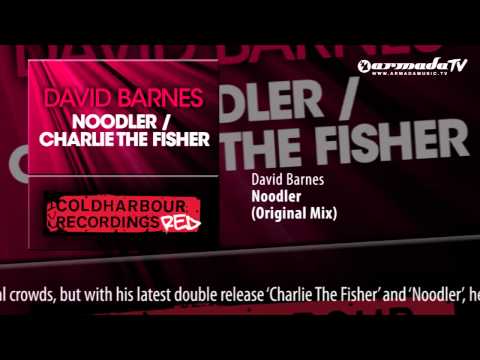 David Barnes - Noodler (Original Mix)