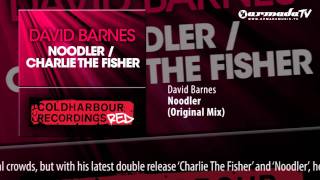 David Barnes - Noodler (Original Mix)