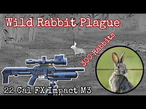 FX Impact M3 || PCP Hunting || Air Rifle Hunting || Rabbit Hunting || .22 Caliber || Pest Control