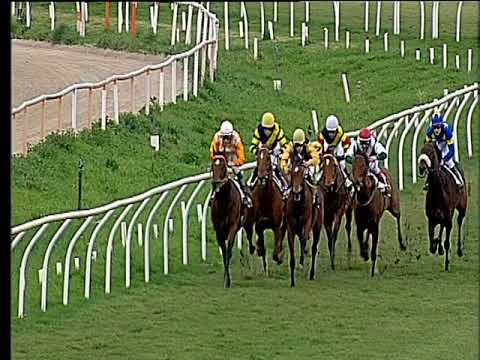 Galoppo 15/03/2018 - 3ª corsa