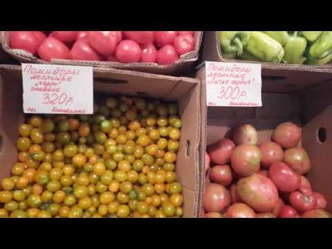 Крестьянский рынок г. Якутска 13 августа 2023 года! Уже начинается осень! Репортаж Николая Барамыгина Крестьянский рынок г. Якутска 13 августа 2023 года! Уже начинается осень! Репортаж Николая Барамыгина