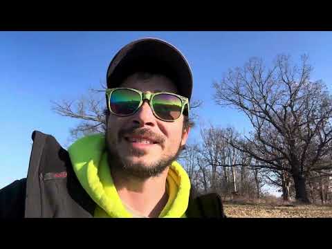 Political figure: Little Adolf