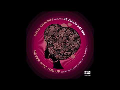 Dave Anthony, Beverlei Brown - Never Give You Up (Prefix One Remix)