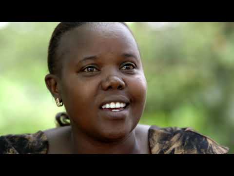 Shamba Shape Up Sn 11 - Ep 15:Dairycows breeding&nutrition,Tree nursery &Organic fertiliser(English)