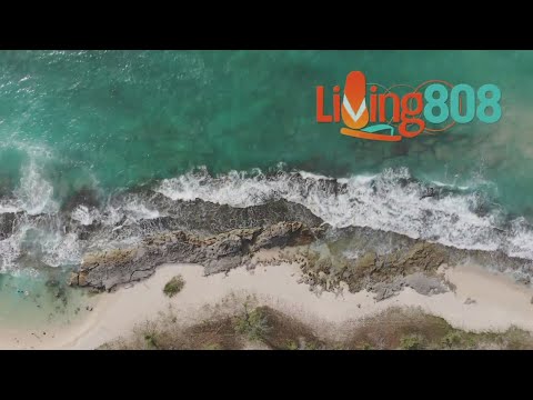 Roman De Peralta Shares Special Music Video in Honor of National Children’s Mental Health Acceptance