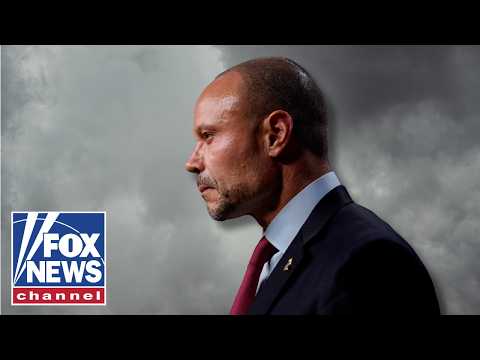 Bongino: They seem to be enjoying ‘EVERY BIT’ of this...