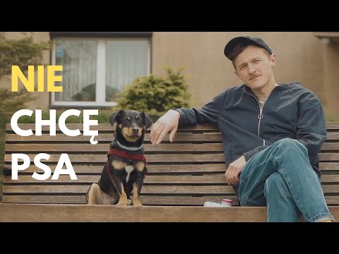 Patrick The Pan - Nie chcę psa (Official Video)
