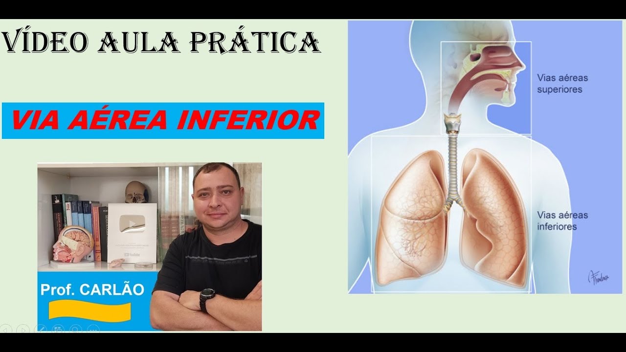 VÍDEO AULA PRÁTICA RESPIRATÓRIO VIA AÉREA INFERIOR