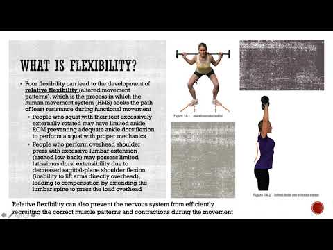 第 14 章 - 柔韌性訓練概念 (Chapter 14 - Flexibility Training Concepts)