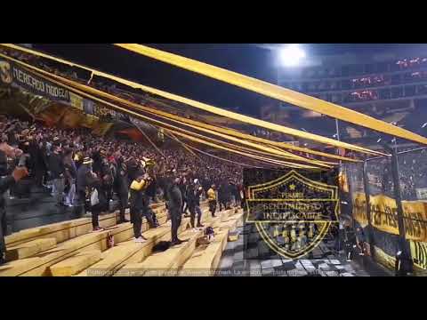 "Barra Ãmsterdam Vs Torque" Barra: Barra Amsterdam &bull; Club: Peñarol