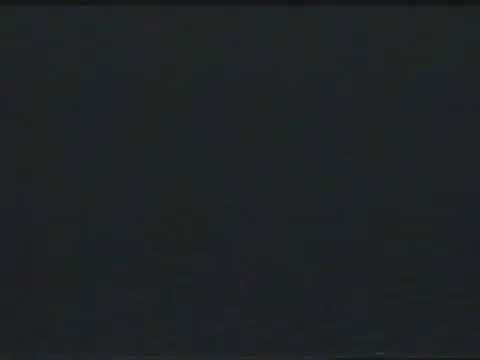 Pantera Primal Concrete Sledge 1994 03 13 Hollywood RIP Magazine Pavilion