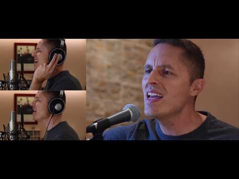 The Cage - Travis cover