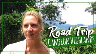 VLOG Kuala Lumpur to Cameron Highlands by Car | Expat Travel Malaysia
