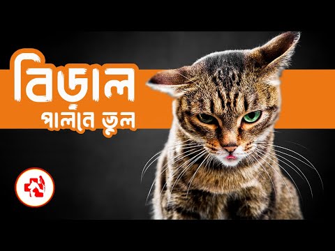 বিড়াল পালনের সময় আমার করা সবচেয়ে খারাপ ভুল কোনটি? | What's the worst mistake I've made while...