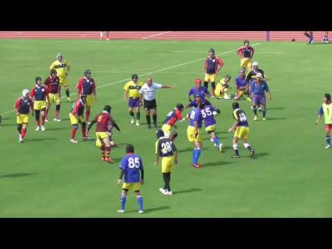 黄紫パン1本目