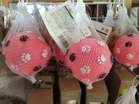 Squeaky Dog Toys Sound Effect (ASMR) I pressed it aggressively.